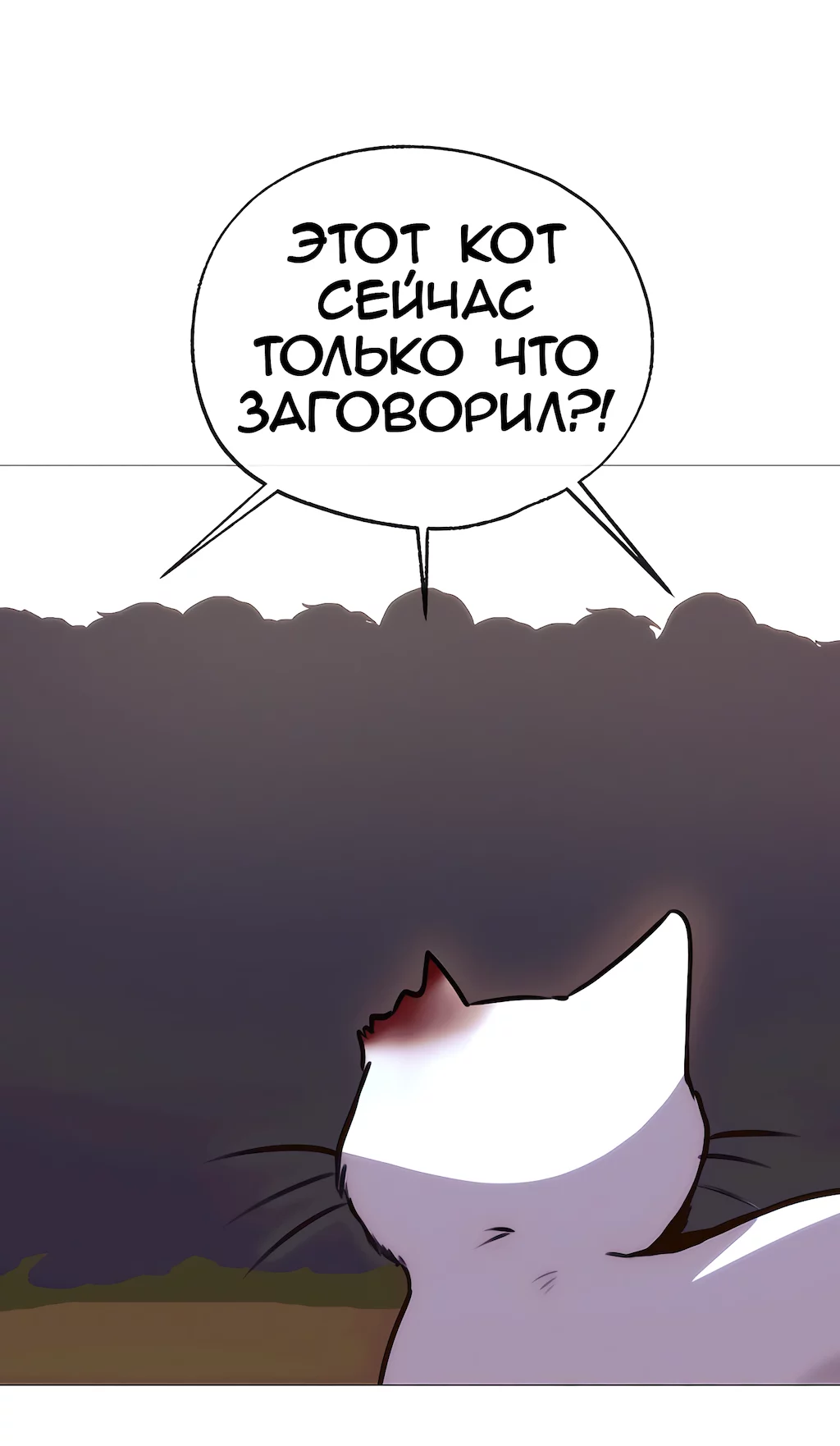 Страница 54