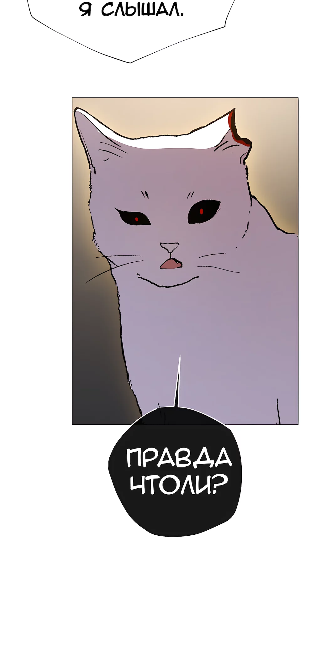 Страница 62
