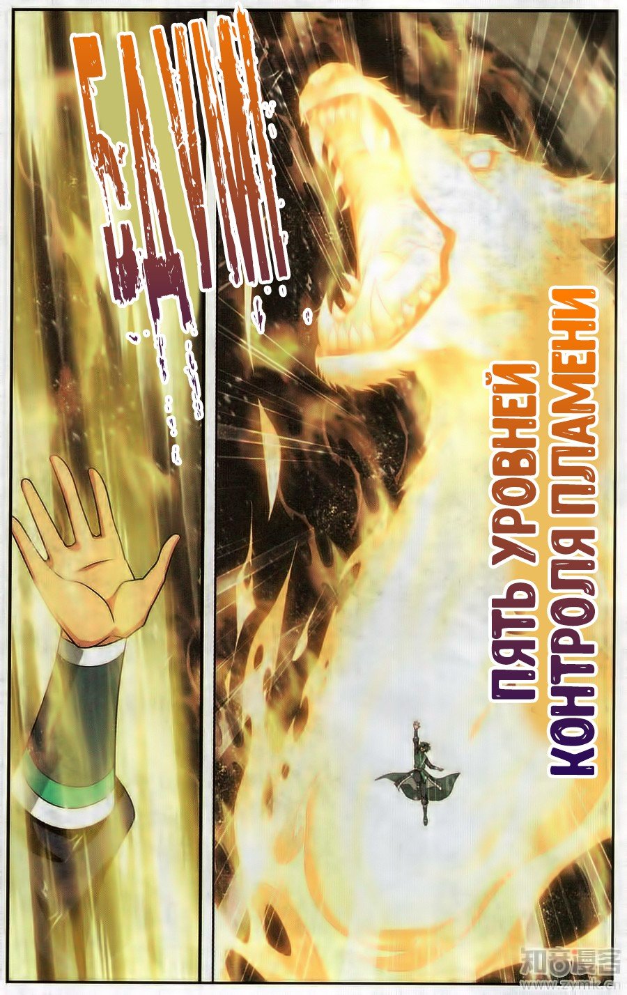Страница 11
