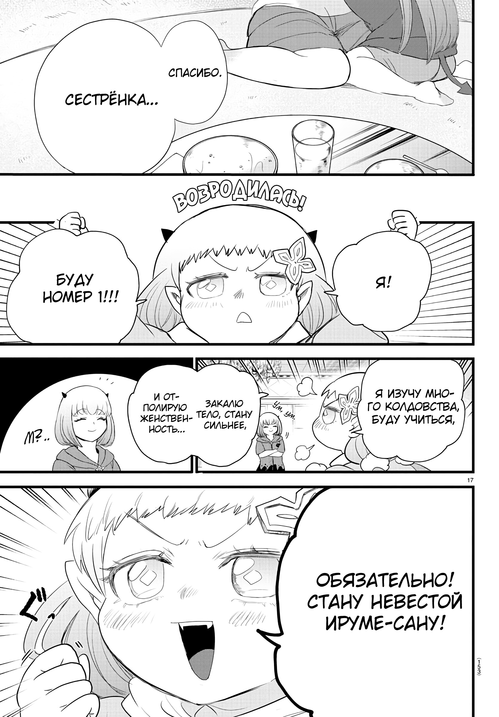 Страница 17